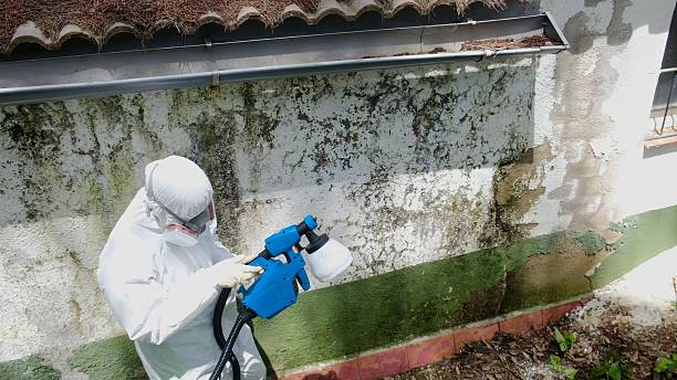 Trusted Mold Testing service in Laurel, MD - Cheap Mold Removal